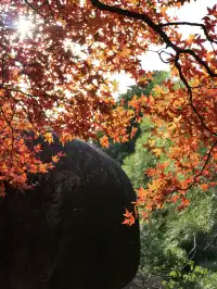 我找到了廈門的秋天