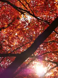 我找到了廈門的秋天