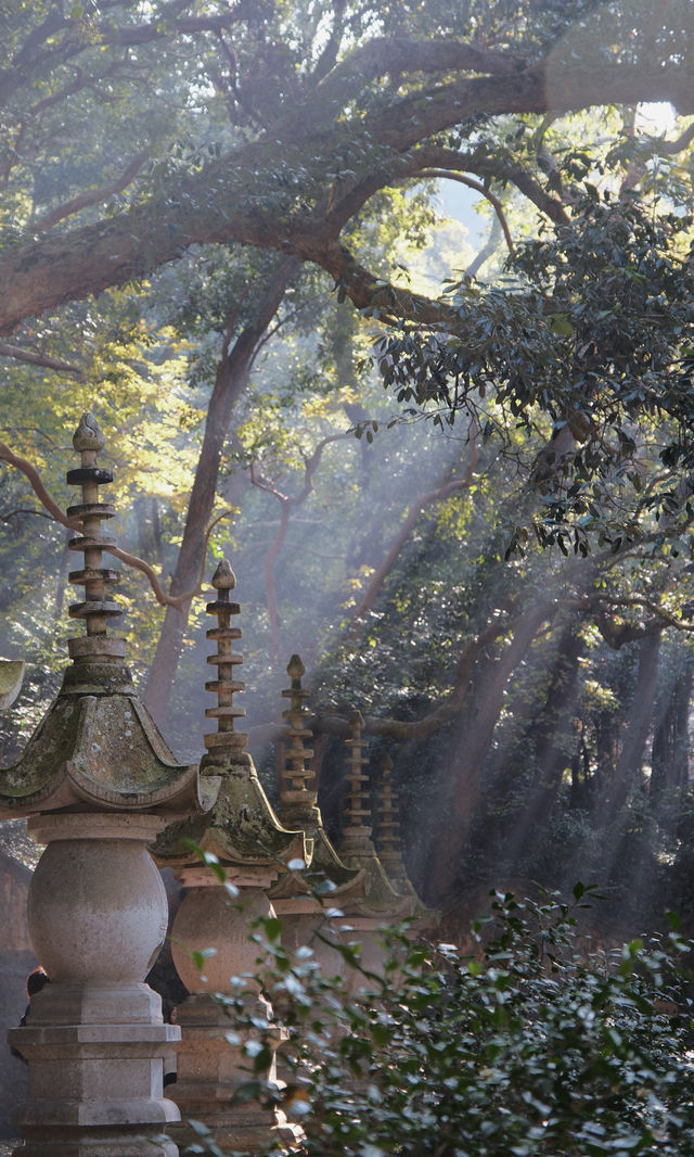 週末逃離杭州2h|在國清寺躺贏整個秋天 週末逃離杭州2h|在國清寺躺贏整個秋天