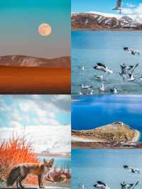 西藏山南|藏地秘境深度漫遊