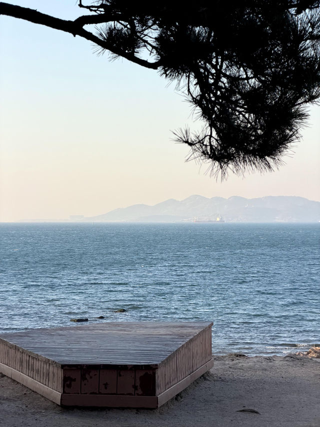 青島冬日Seawalk新路線太平角公園拍照攻略Get! 青島冬日Seawalk新路線太平角公園拍照攻略Get!