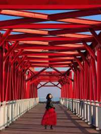 秦皇島|在如是海赴一場冬日海邊的聖誕之約