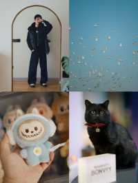 淀山湖喜來登偶遇網紅黑貓店長|松下S9膠片風大片