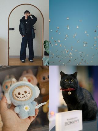 淀山湖喜來登偶遇網紅黑貓店長｜松下S9膠片風大片