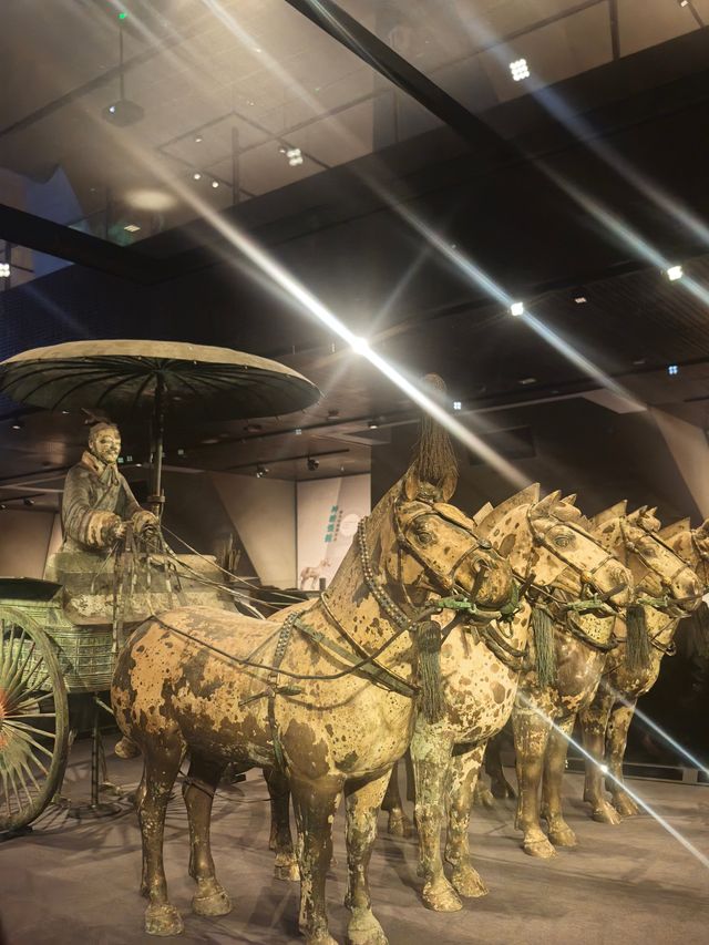 麗山園兵馬俑之旅