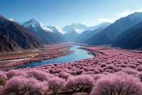西藏林芝深度遊:邂逅雪山桃花與森林的浪漫