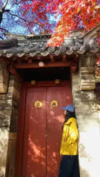 12.1號實況，青島崂山太清宮殺瘋了！