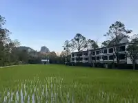 避寒不必去海島|廣西房車冬日漫遊指南