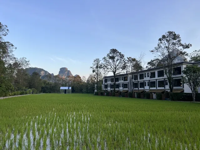 避寒不必去海島|廣西房車冬日漫遊指南 避寒不必去海島|廣西房車冬日漫遊指南