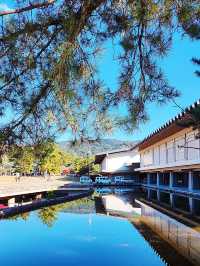 11月好去處|秋遊奈良春日野園地:邂逅自然與古韻