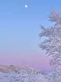 呼倫湖絕美日落機位