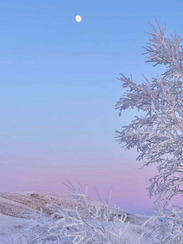 呼倫湖絕美日落機位