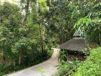 蘭卡威度假天堂 | The Datai Langkawi   酒店：達泰蘭卡威度假酒店  