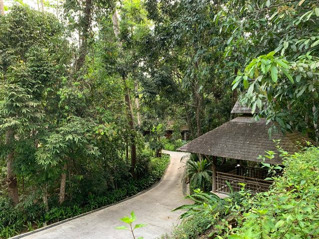 蘭卡威度假天堂 | The Datai Langkawi   酒店：達泰蘭卡威度假酒店  