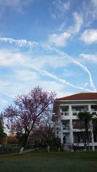 陪老帶娃住昆明-海埂溫泉花園酒店