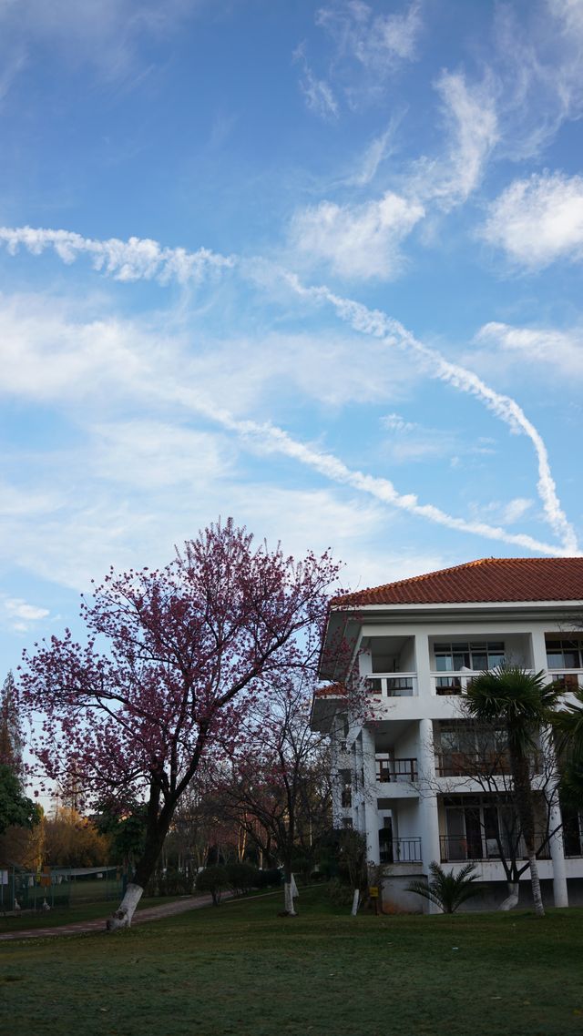 陪老帶娃住昆明-海埂溫泉花園酒店 陪老帶娃住昆明-海埂溫泉花園酒店