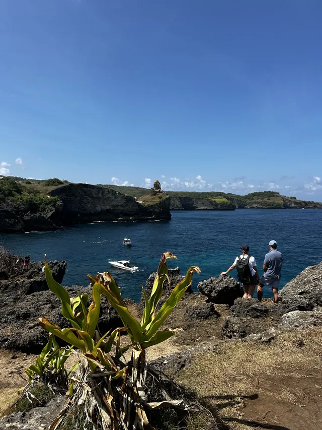 在巴厘島追到了!凌晨五點出海 被狠狠獎賞 在巴厘島追到了!凌晨五點出海 被狠狠獎賞