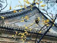 西安隱世中式庭院