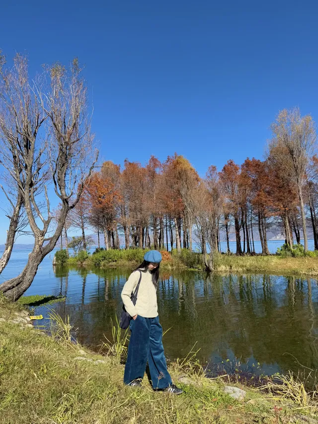 愛回收|來大理直接複製這條洱海一日遊路線! 愛回收|來大理直接複製這條洱海一日遊路線!