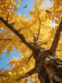 不是日本！廣東省自己的黃金大道