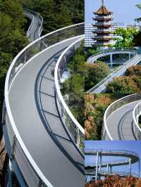 逃離城市喧囂廈門這條山海步道真的封神了