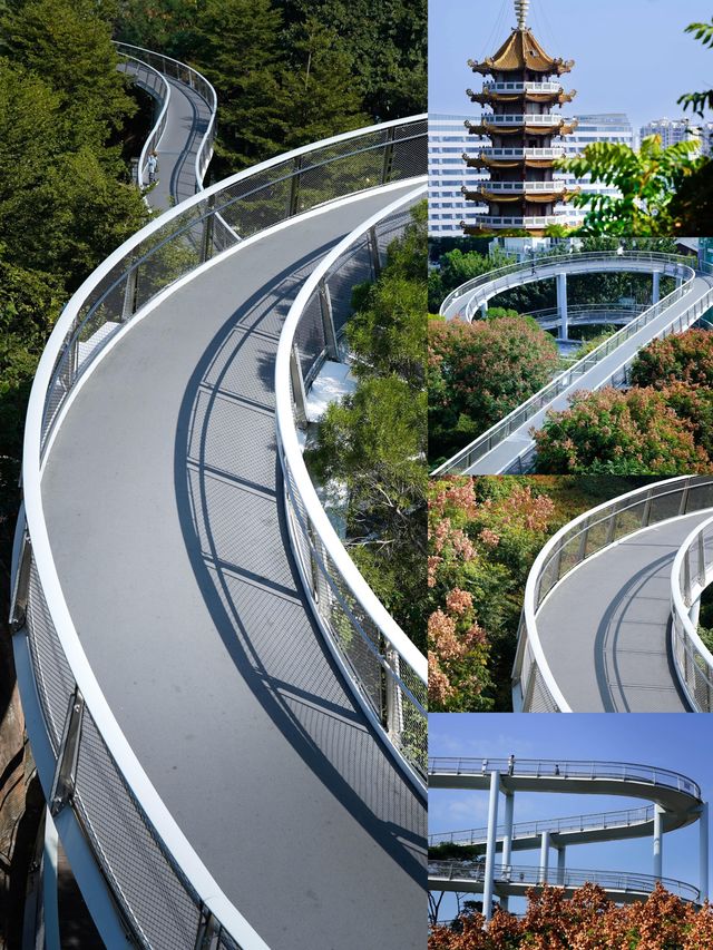 逃離城市喧囂廈門這條山海步道真的封神了