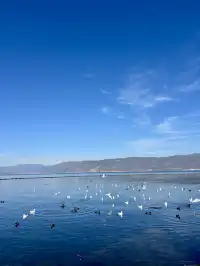 12月 大理-麗江-香格里拉