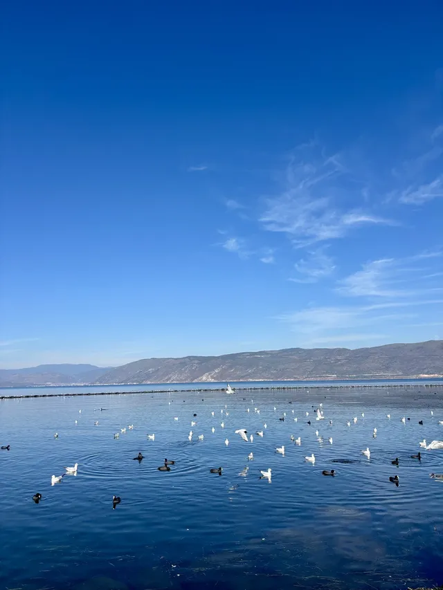 12月 大理-麗江-香格里拉 12月 大理-麗江-香格里拉