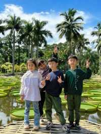 二次遊版納！一點都不累！小朋友說比迪士尼更好玩。