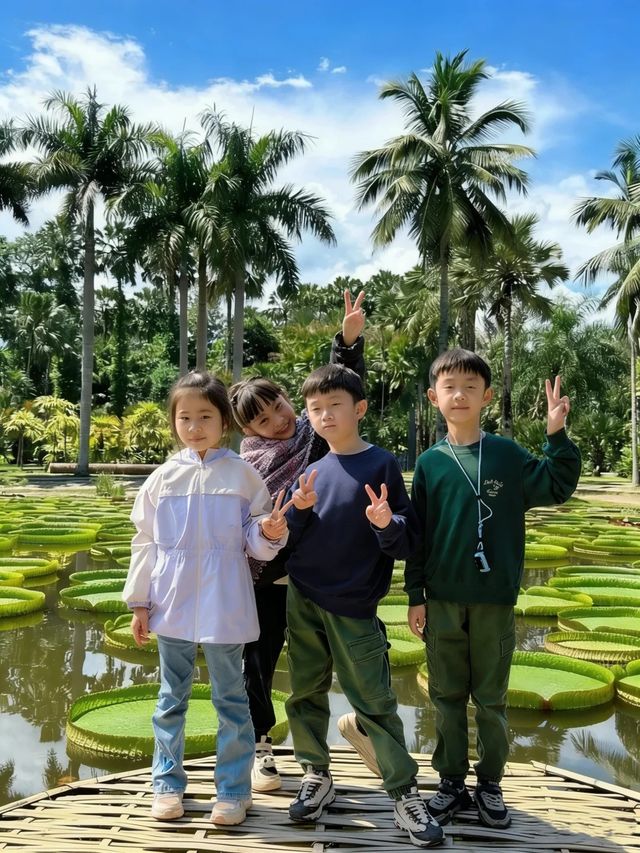 二次遊版納！一點都不累！小朋友說比迪士尼更好玩。