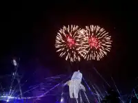 11月來長隆也太爽了