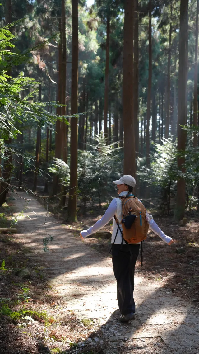 墜入「暮光森林」平陽滿田森林公園 墜入「暮光森林」平陽滿田森林公園
