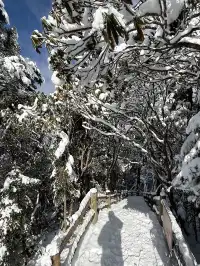 廣東高鐵1.5h直達！莽山霧淞不爬山攻略