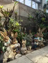 上海植物園一日遊