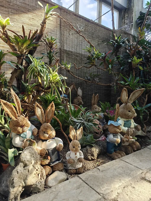 上海植物園一日遊 上海植物園一日遊