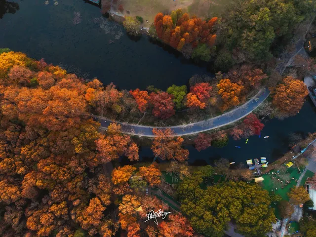 南京秋日航拍 南京秋日航拍
