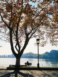 杭州紅楓反向線|3h拍爆西湖秋景~