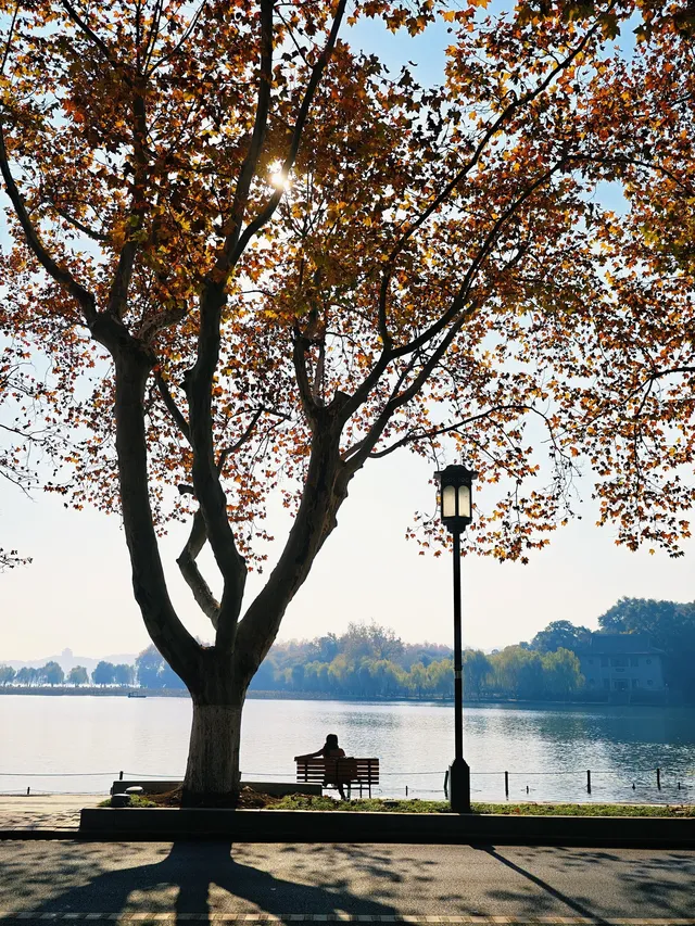 杭州紅楓反向線|3h拍爆西湖秋景~ 杭州紅楓反向線|3h拍爆西湖秋景~