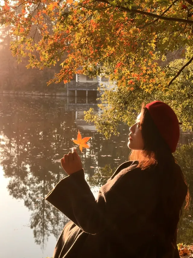 上海秋景封神!共青森林公園拍照真的絕了 上海秋景封神!共青森林公園拍照真的絕了