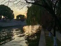 滿城盡飛黃金葉，紹興古城河清園秋色正迷人