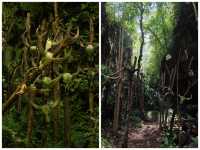 比昆明宜居,比大理清靜!這才是雲南最美慢城養老度假首選