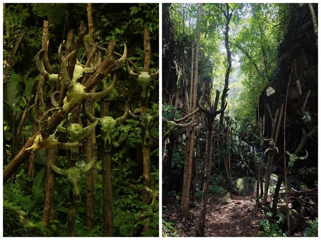 比昆明宜居,比大理清靜!這才是雲南最美慢城養老度假首選 比昆明宜居,比大理清靜!這才是雲南最美慢城養老度假首選