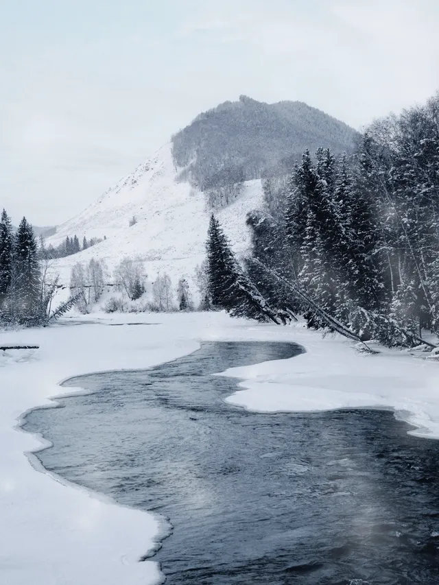 阿達西,今年的禾木我來看了 阿達西,今年的禾木我來看了