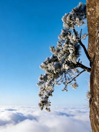 선유 필수 방문 절경 일출 명소