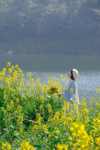 桜と菜の花の素敵な出会い