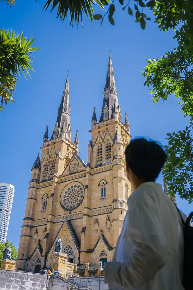 Flew 8,000 kilometers to the Southern Hemisphere just for these 9 photo spots