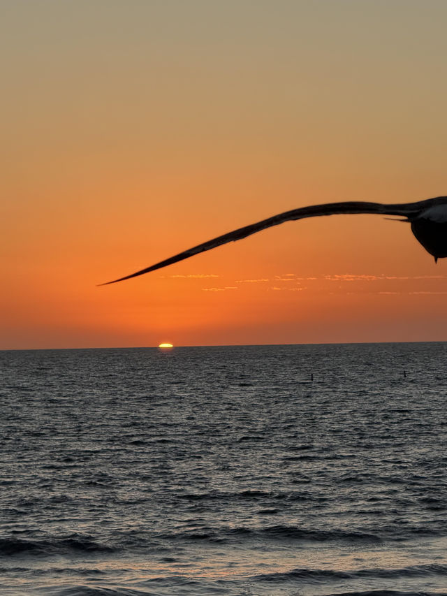 Santa Monica ๐๏ธ Who can resist a California sunset? ๐๏ธ