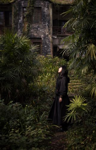 The Aesthetic of Ruins in Nature Reserves｜Time Forgotten by Time