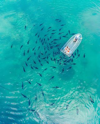 การเดินทางกับเด็กๆ ในหลิงสุ่ย: การเข้าพักที่ปลอดภัยและสนุกสนาน! ประสบการณ์จริงของฉันหลังจากสองสัปดาห์