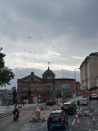 Stourhead Estate, UK｜Dreamy Sea of Flowers Beyond Imagination
